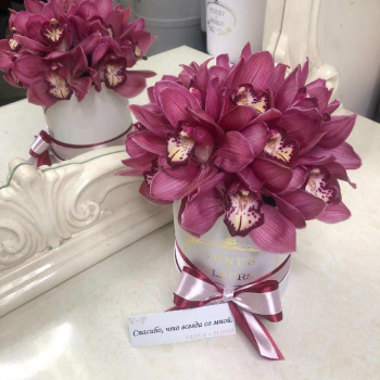 15 бордовых орхидей в коробке