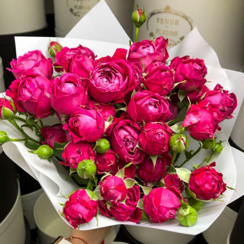 Малиновые пионовидные от 9 шт.