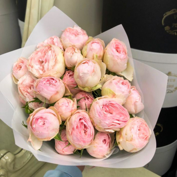 13 нежных пионовидных роз