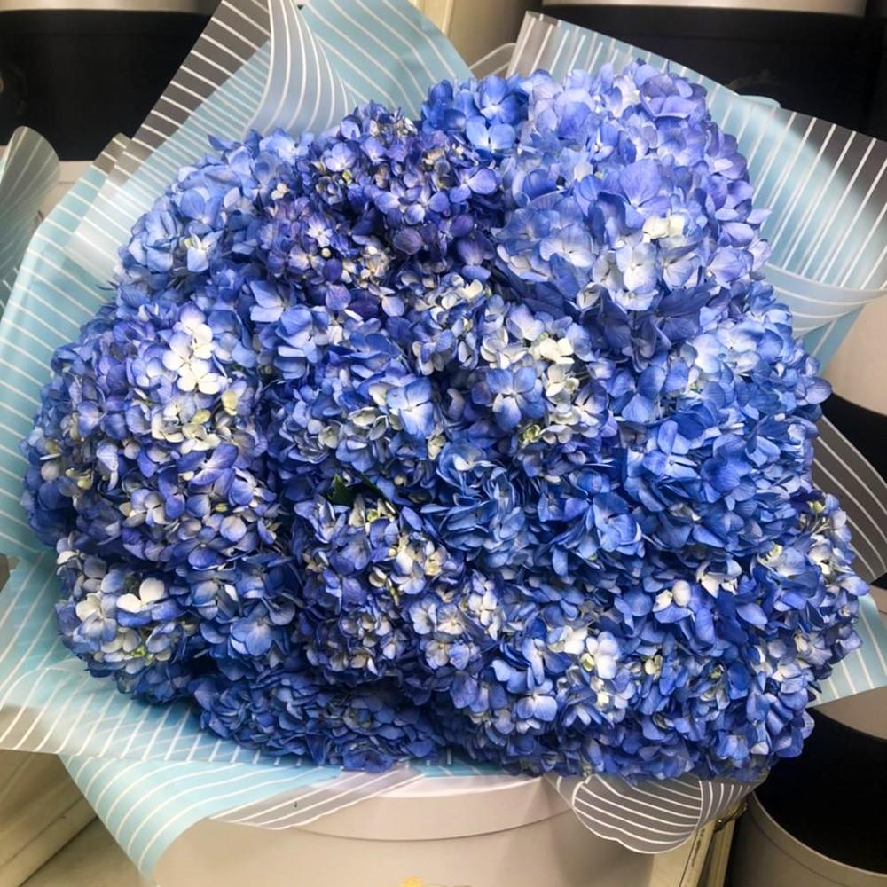 15 голубых гортензий в букете