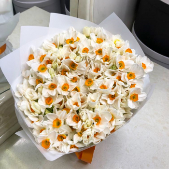 Букет белых нарциссов от 9 шт.