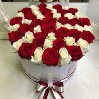 51 красно-белая роза в коробке