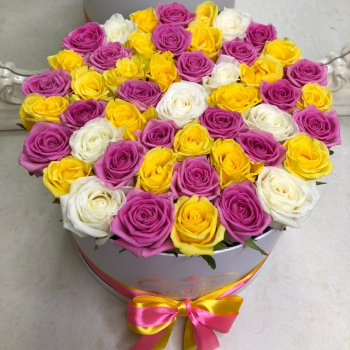 51 разноцветная роза в коробке