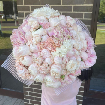 Пионы с гортензиями в букете от 29 шт.