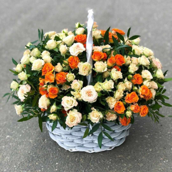Кустовые розы в корзине от 51 шт.