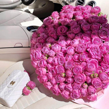 51 розовая пионовидная роза