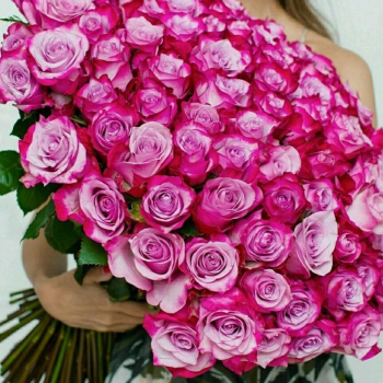 101 фиолетовая роза в букете