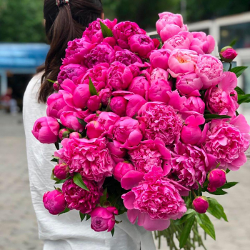 101 малиновый пион в букете