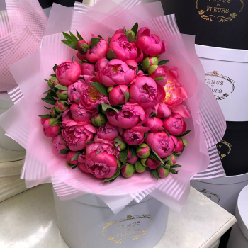 25 коралловых пионов в миксе