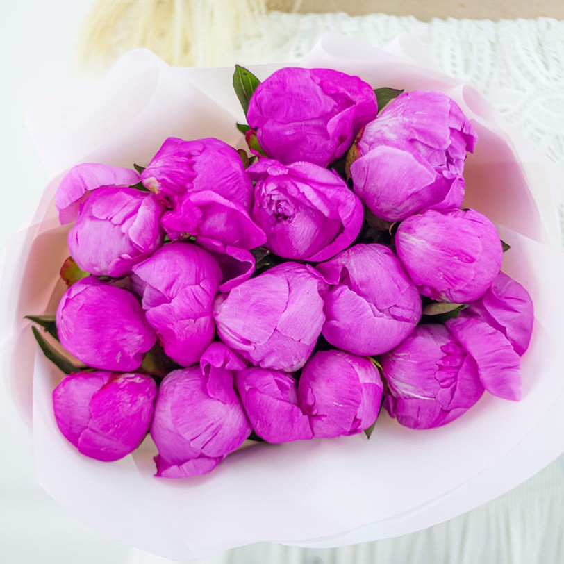 15 малиновых пионов