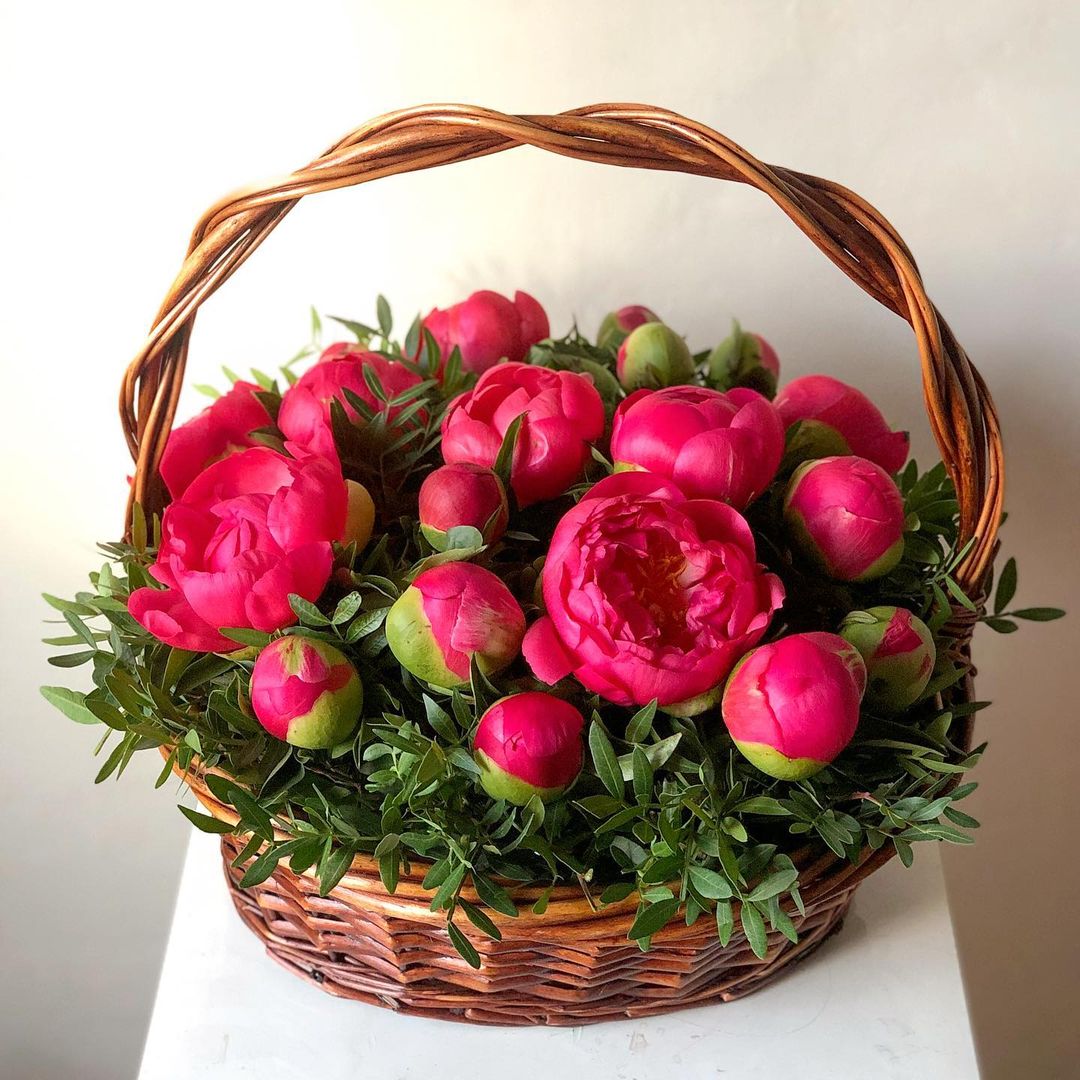 Коралловые пионы в корзине от 25 шт.