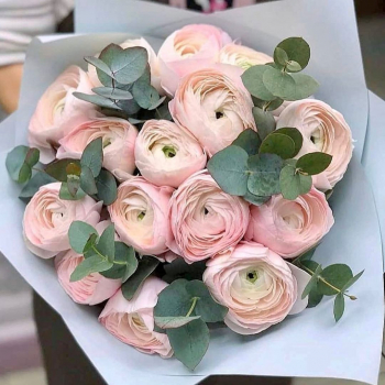 19 нежно-розовых ранункулюсов