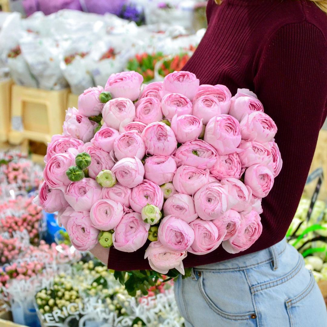 29 розовых ранункулюсов в букете