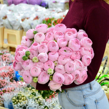 Розовые ранункулюсы - 29 шт.
