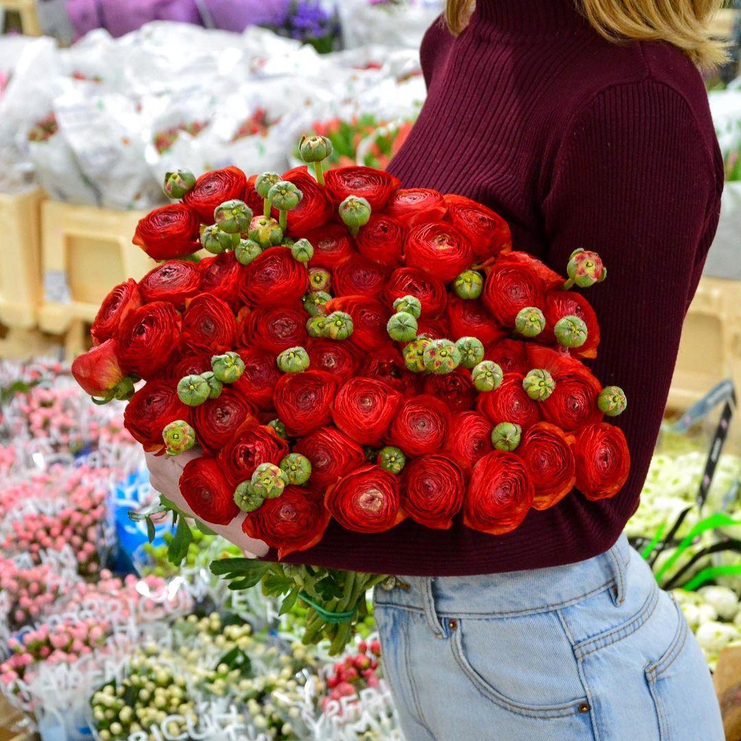 29 красных ранункулюсов в букете
