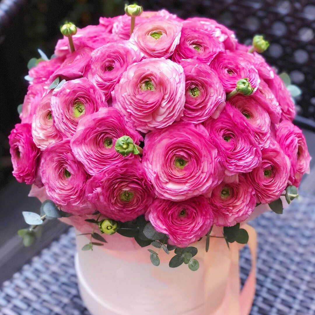 Розовые ранункулюсы в коробке от 19 шт.