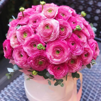 Ранункулюсы в коробке от 19 шт. Ранункулюсы в коробке от 19 шт.