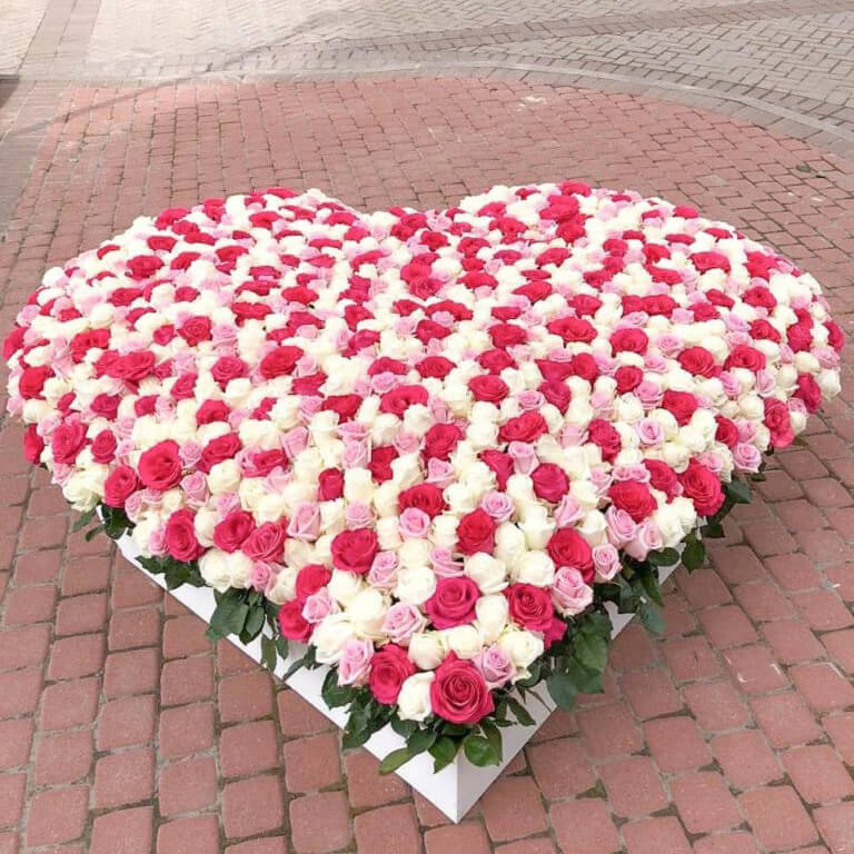 1001 роза - сердце из нежных роз