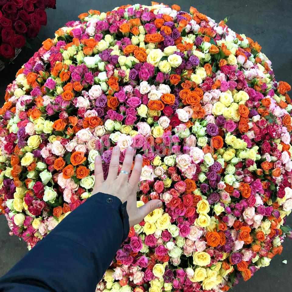 501 кустовая роза в коробке