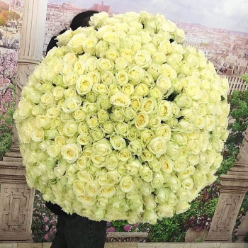 501 белая роза в букете - 80 см.