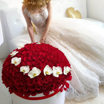 Красные с орхидеями (шар) от 101 шт.