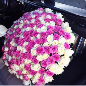 251 бело-розовая роза в букете - 70 см.