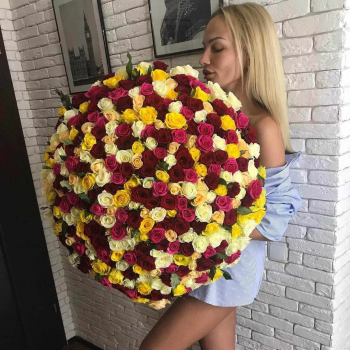 251 разноцветная роза в букете - 70 см.