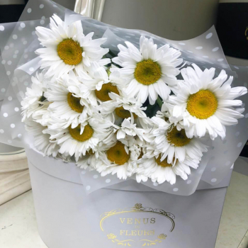 9 крупных ромашек в букете