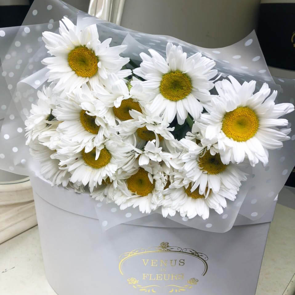 9 крупных ромашек в букете