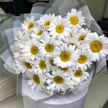 19 крупных ромашек в букете