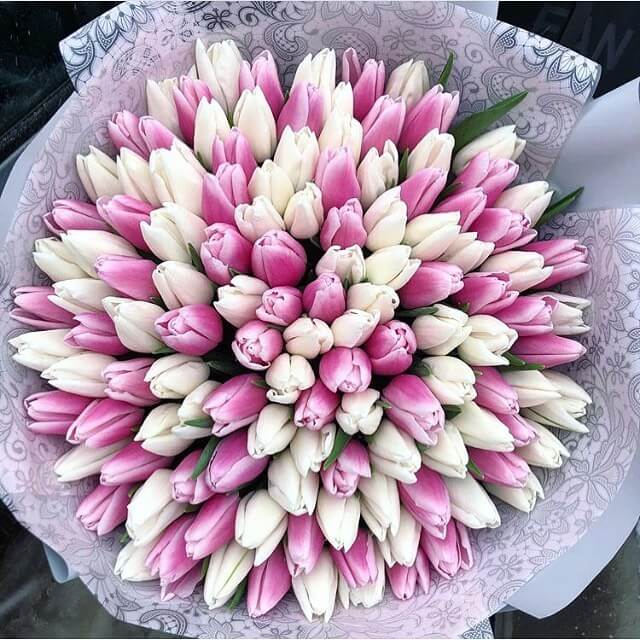 101 пионовидный нежно-розовый тюльпан в букете