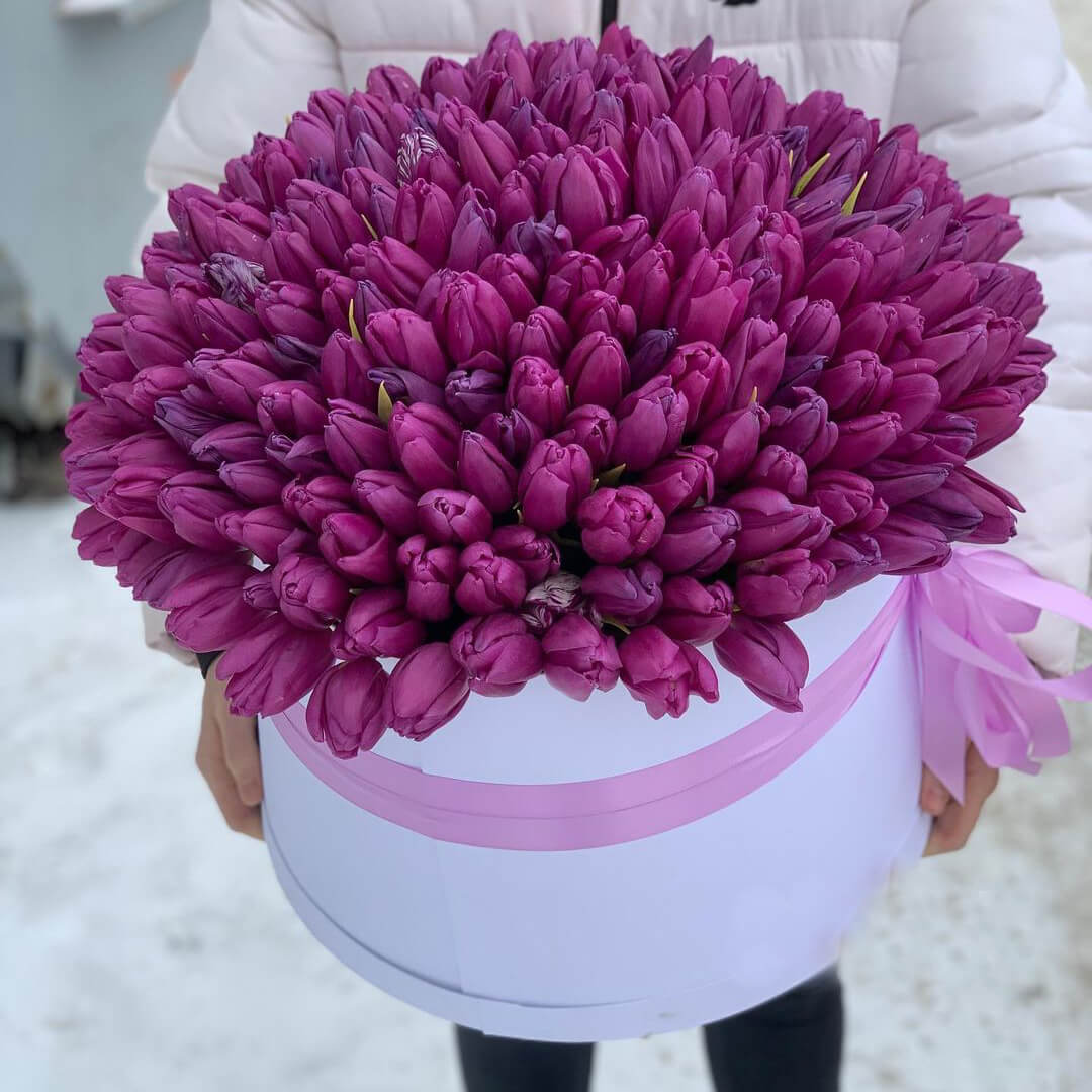 201 фиолетовый тюльпан