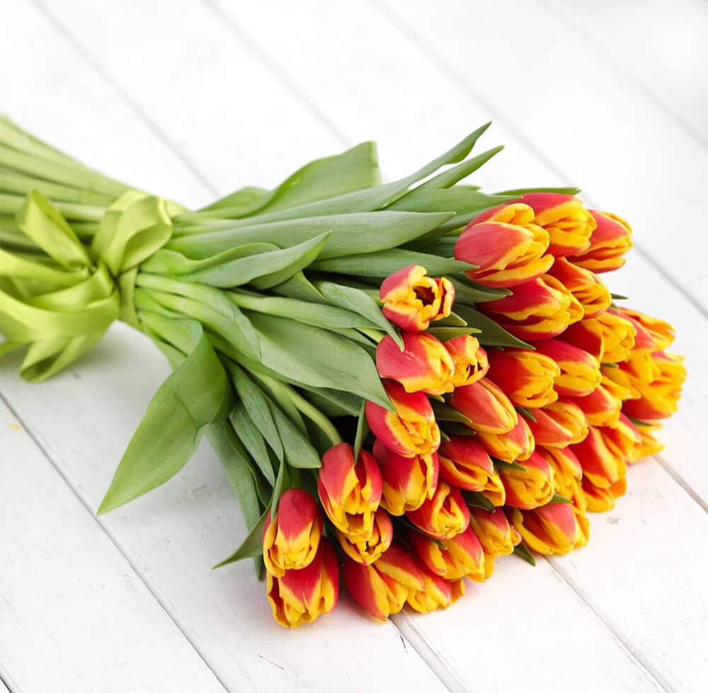 51 красно-желтый тюльпан в букете