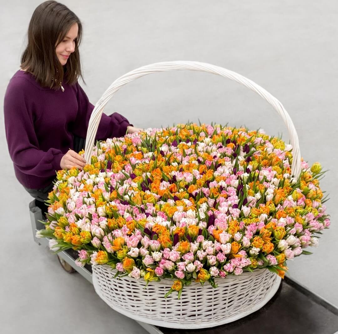 1001 тюльпан в корзине