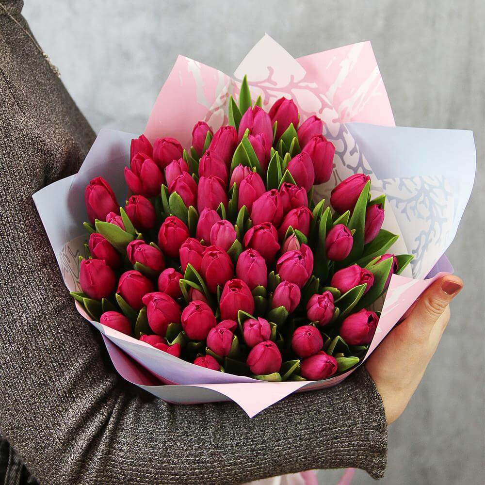 51 малиновый тюльпан в букете
