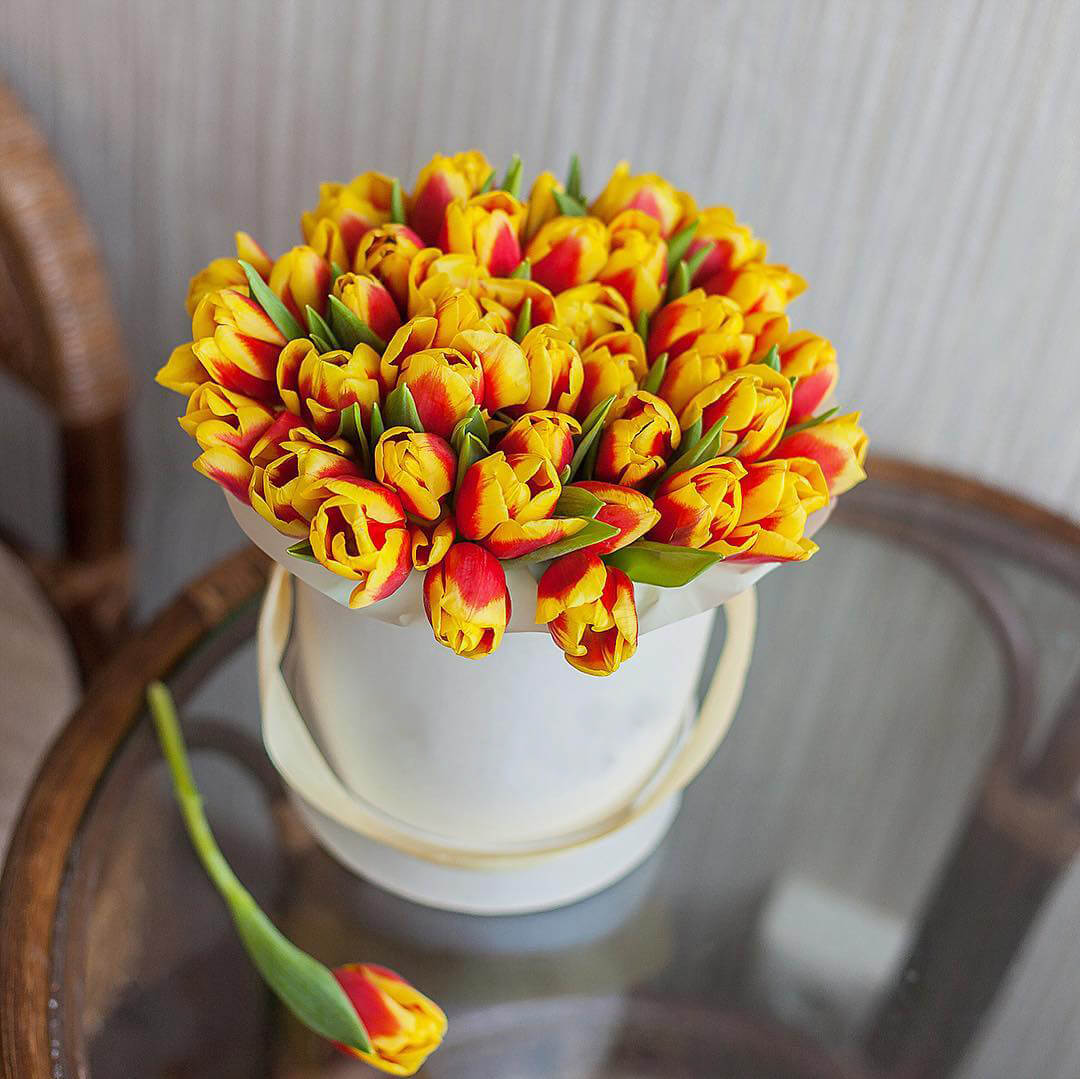 51 красно-желтый тюльпан в коробке