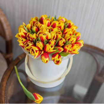 51 красно-желтый тюльпан в коробке