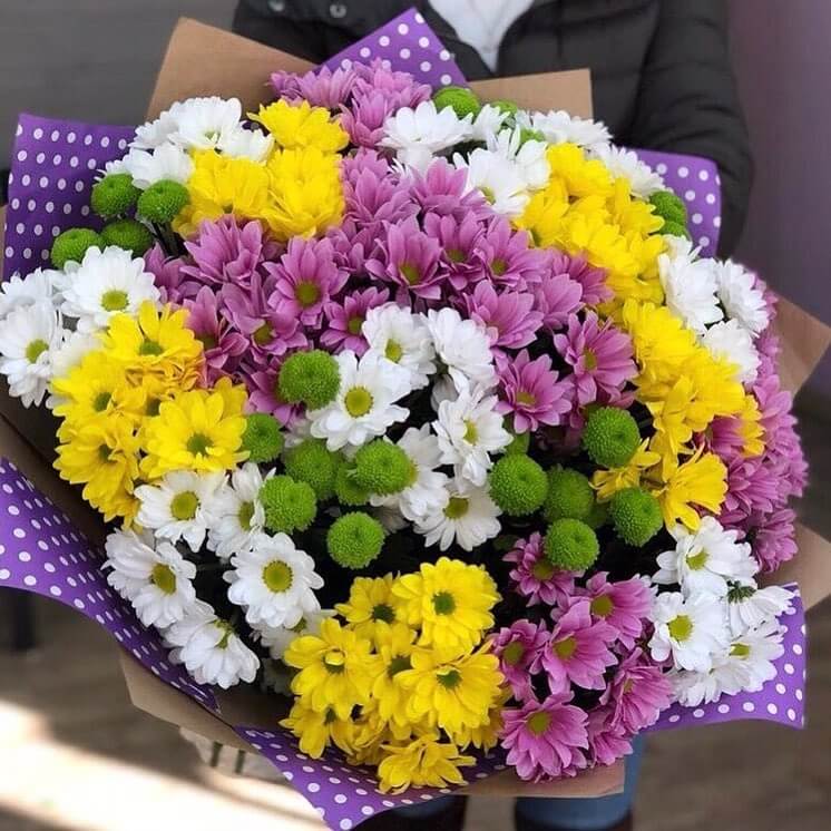 51 разноцветная кустовая хризантема в букете