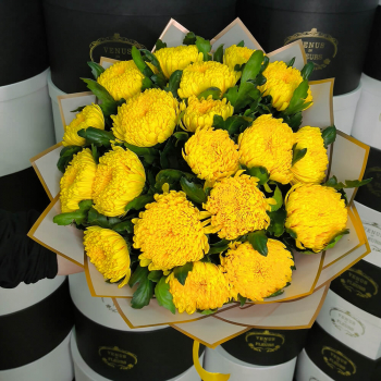 19 желтых хризантем в букете