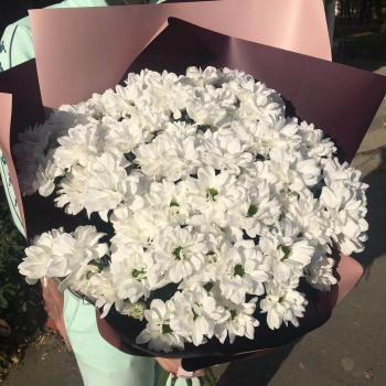 19 кустовых белых хризантем в букете 19 кустовых белых хризантем в букете