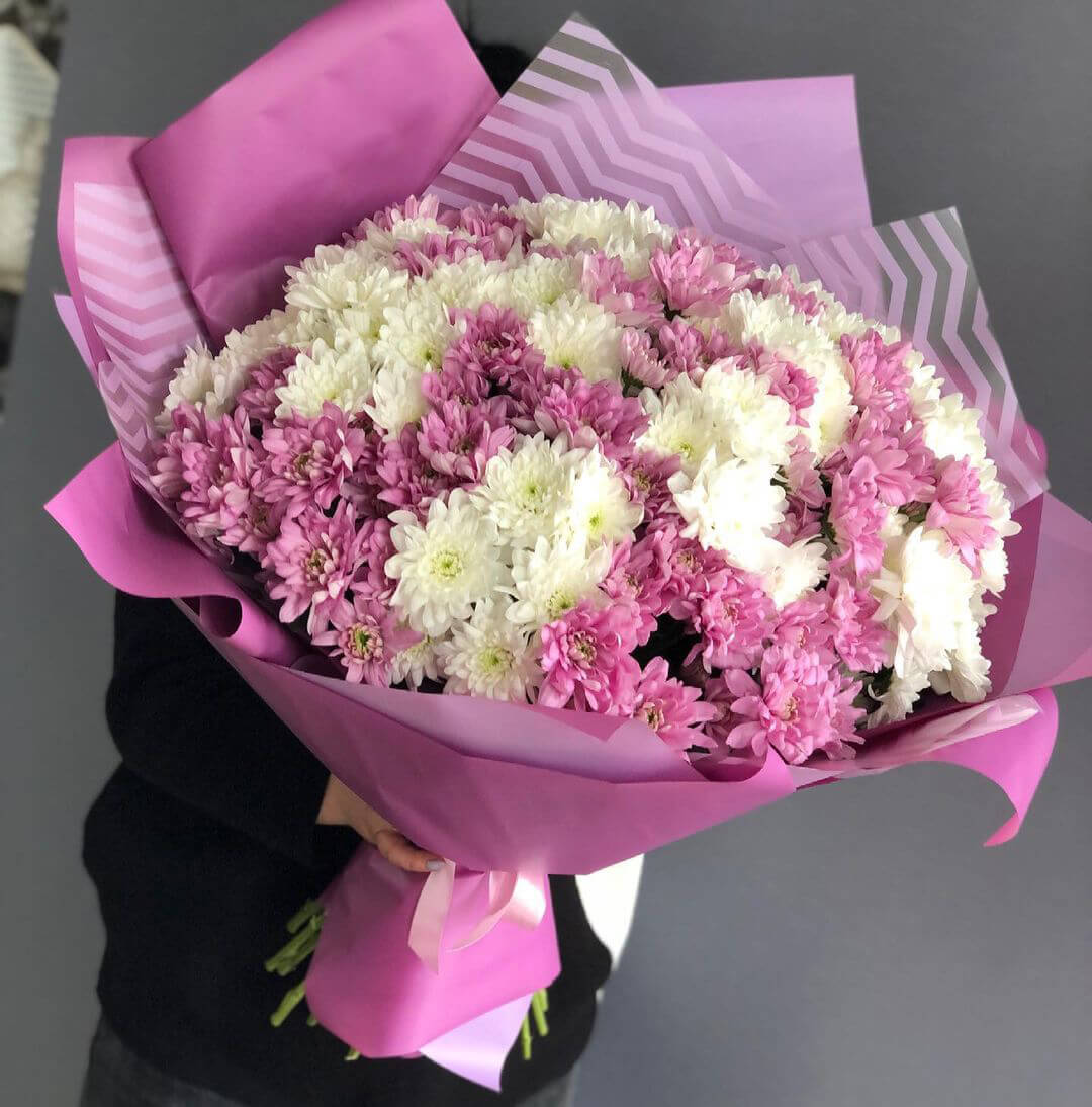 29 бело-розовых кустовых хризантем