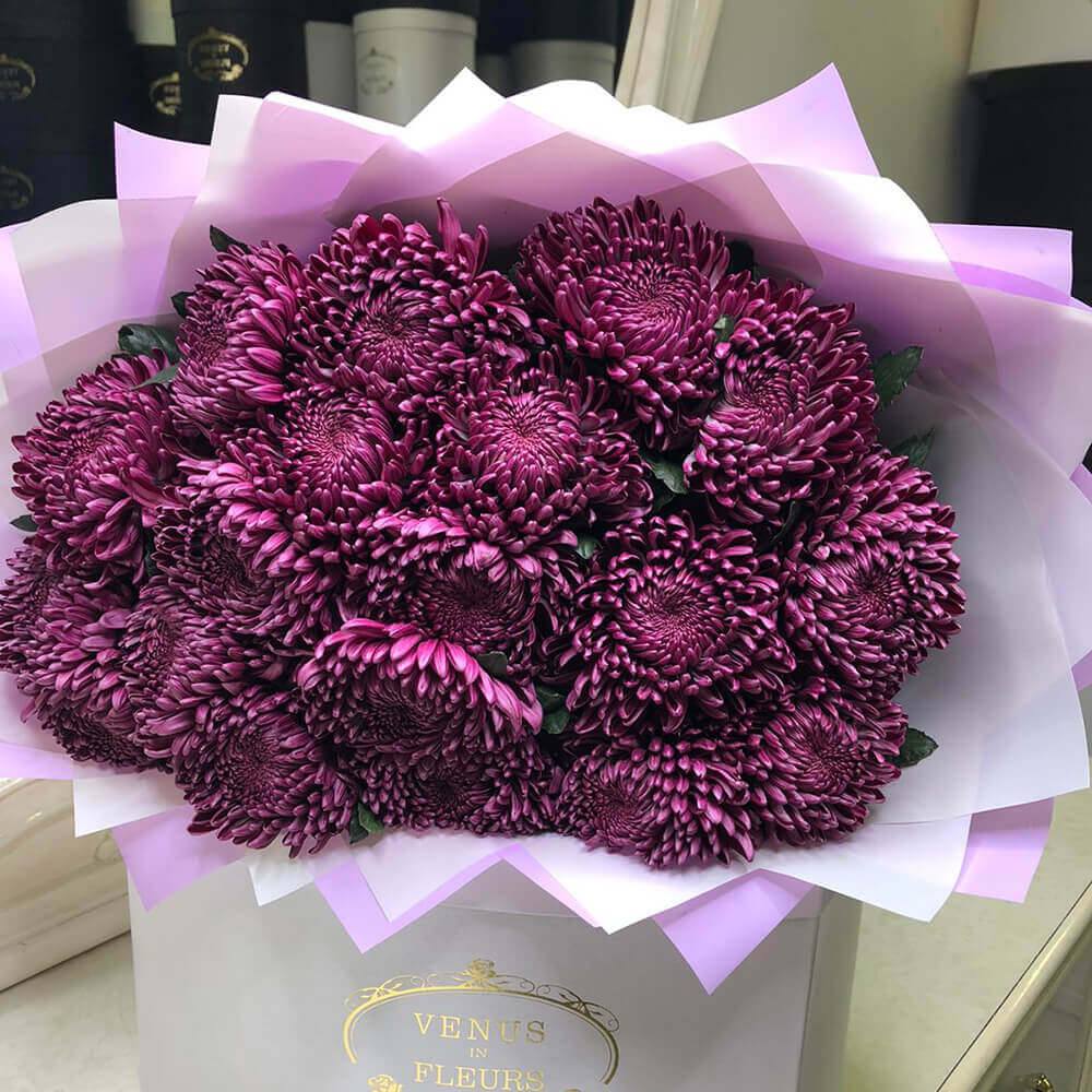 19 бордовых крупных хризантем