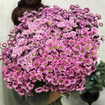 101 сиреневая хризантема в букете