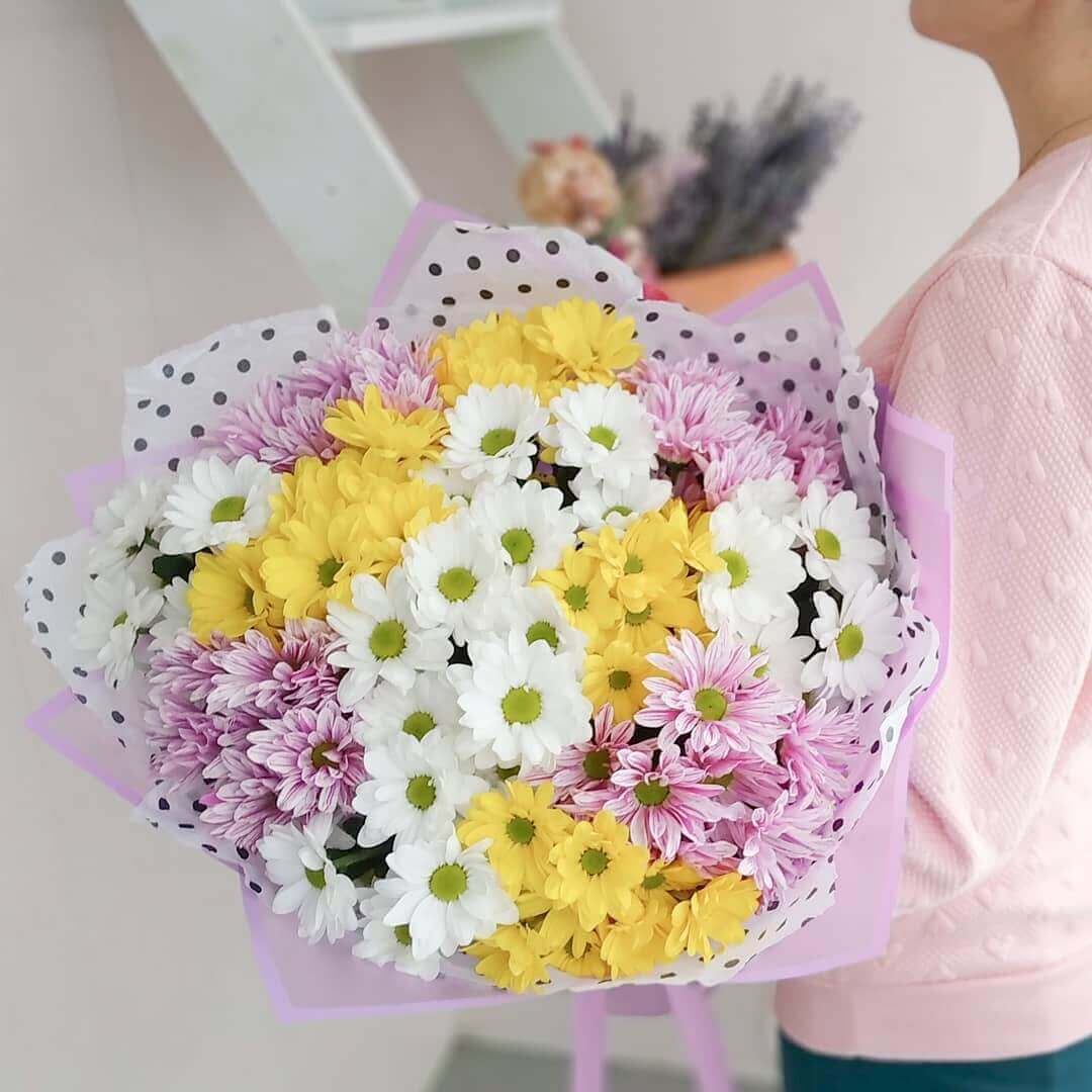 15 желто-розовых хризантем в букете
