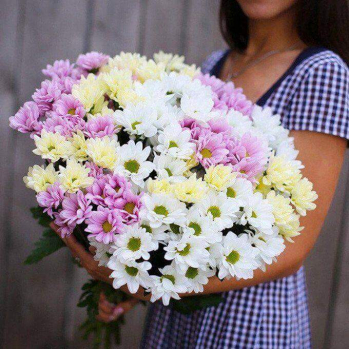 19 бело-розовых хризантем в букете