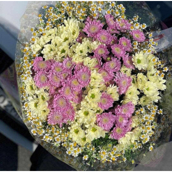 Кустовые хризантемы с ромашками - 45 шт. Кустовые хризантемы с ромашками - 45 шт.