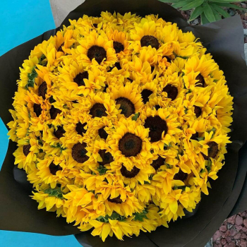 101 подсолнух в букете