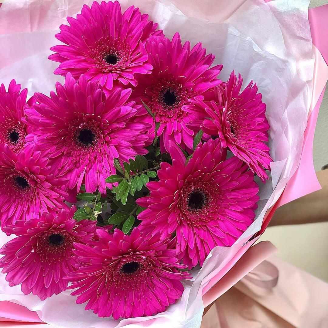 9 ярко-розовых гербер