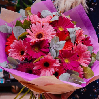 Микс розовых гербер в букете