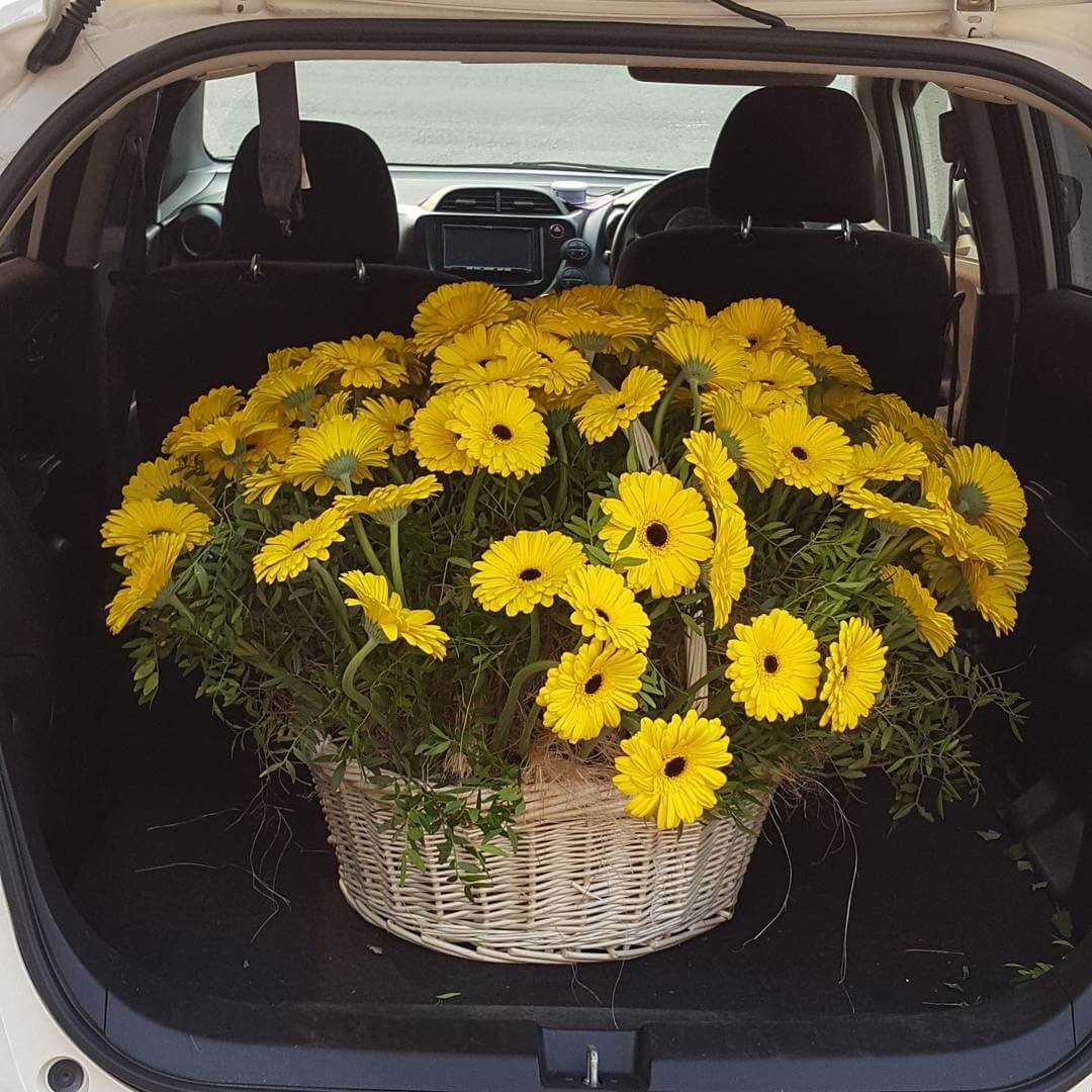 Желтые герберы в корзине - 101 шт.